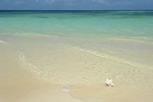 Virgin: Caribbean, British Virgin Islands, Anegada