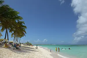 Virgin: Caribbean, British Virgin Islands, Anegada