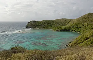 Money: Caribbean, British Virgin Islands, Norman