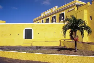 Stairway: Caribbean, St Croix, Christiansted, palm