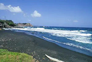 Driftwood: Caribbean, St. Vincent, Grenadines. Scenic