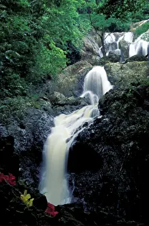 Tobago: Caribbean, Tobago. Argyle Falls