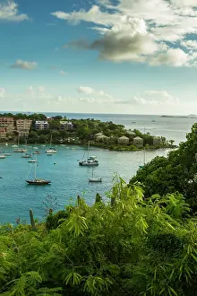 Cruz: Caribbean, USA Virgin Islands, St. John
