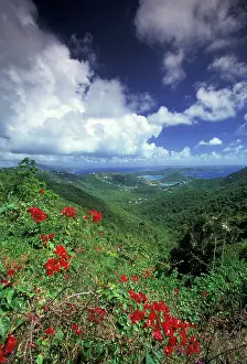 Virgin: Caribbean, US Virgin Islands, St. John