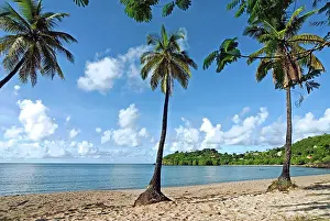 Tondini: Carlisle Bay beach, Antigua, West Indies