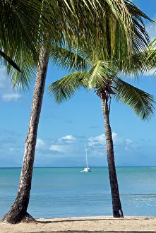 Tondini: Carlisle Bay beach, Antigua, West Indies