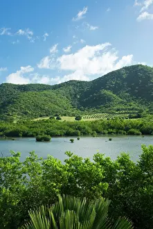 Tondini: Carlisle Bay Lagoon, Antigua, West Indies