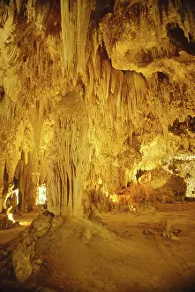 Carlsbad: Carlsbad Caverns