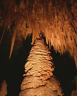 Stalagmite: Carlsbad Caverns