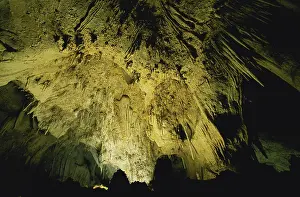 Dripstone: Carlsbad Caverns