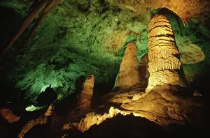 Giants: Carlsbad Caverns National Park