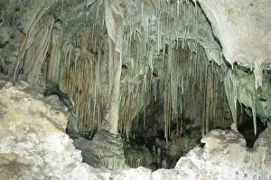 Drape: Carlsbad Caverns National Park