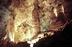 Giants: Carlsbad Caverns, New Mexico