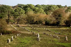 Carnac: Carnac menhirs - Neolithic