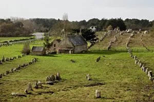 Carnac: Carnac menhirs / Stones, Neolithic
