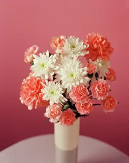 Dianthus: Carnation