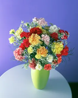 Vase: Carnation
