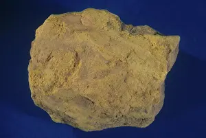 Earthy: Carnotite