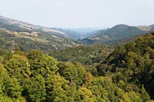 Carpathian: The Carpathian Mountains west of Baia de