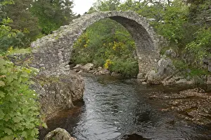 Inverness: Carrbridge old packhorse Bridge