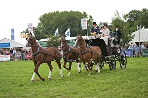 Pulling: Carriage driving demonstration in main ring Moreton