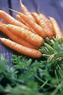 Carrot: Carrot