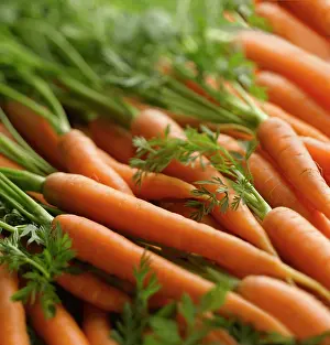 Pepper: Carrot, Daucus carota, Many carrots with leaves