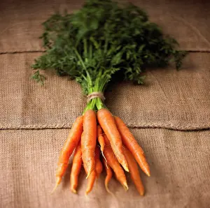 Carrot: Carrot, Daucus carota, Orange subject