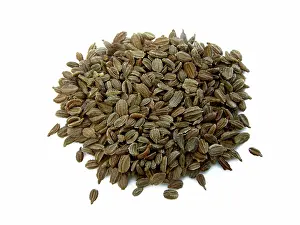 Carrot: Carrot Seeds