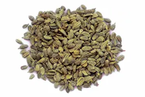 Carrot: Carrot Seeds