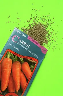 Carrot: Carrot seeds in a packet