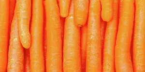 Carrot: Carrots Carrot Vegetable Background From Above Panorama