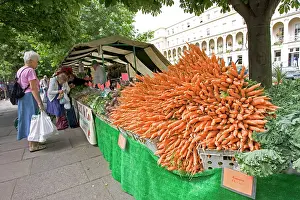 Carrots: Carrots for sale at Farmers Market on promenade