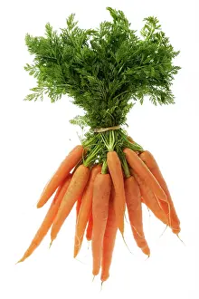 Tied: Carrots - tied in bunch, showing leaf tops