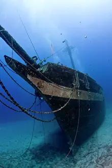 Wrecks: The Carthaginian Wreck