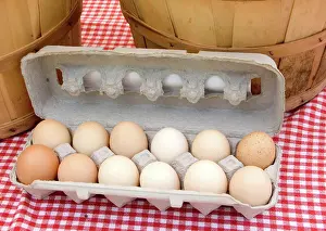Protein: Eggs