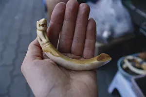 Poaching: Carved Tiger Tooth