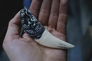 Poaching: Carved Tiger Tooth