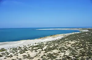 Scarce: Caspian Sea Shore - sand desert with scarce vegetation