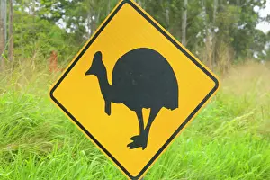 Cassowaries: Cassowary warning sign