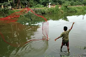 Canals: Cast Net Fisherman fishing in drainage canal