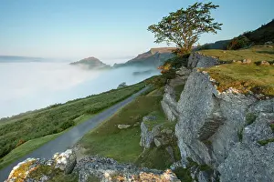 Bran: Castel Dinas Bran appearing through mist in