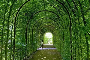 Heavy: Castle Moyland, bower at the castle grounds, Bedburg