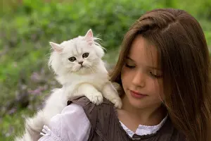 Choosing: Cat - 8 week old kitten sitting on young girl's shoulder