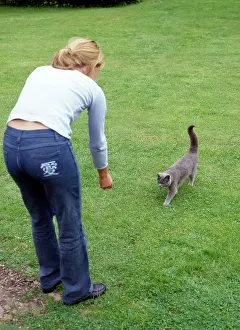 Cat - approaching girl after being called