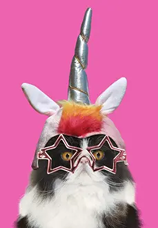 Unicorn: Cat - Black & White Persian wearing star shaped