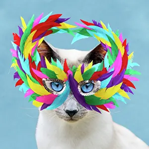 Mask: CAT - Blue Point Siamese