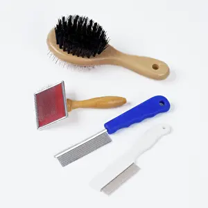 Brushes: Cat - Brushes & Combs for grooming