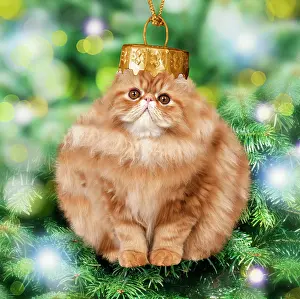 Bauble: Cat - Christmas bauble. Digital Manipulation