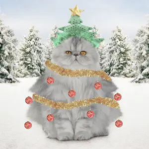 Tortie: Cat Christmas tree